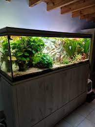 2dehands aquarium