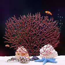 aquarium decoratie koraal