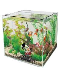 vierkant aquarium