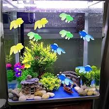 gratis aquarium decoratie