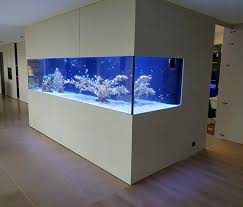 aquarium bouwer