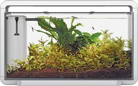 aanbieding aquarium intratuin