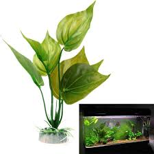 aquarium planten nep