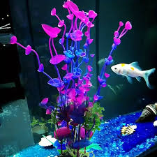 vis aquarium accessoires