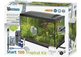 aquarium voor beginners