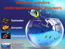 brouwers aquarium