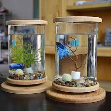 design aquarium klein