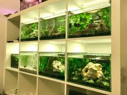 ikea aquarium