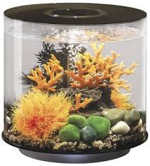 15 liter aquarium