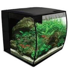 aquaria of aquariums