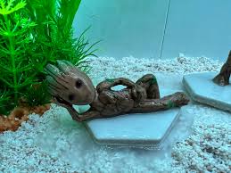 aquarium groot