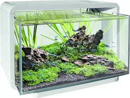 aquarium home 25