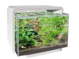 aquarium home 40