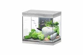 aquarium home 60