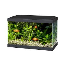 aquarium 20 liter