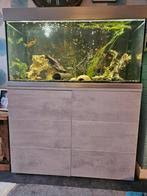 aquarium 250 cm