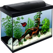 aquarium 80 cm