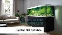 aquarium winkel