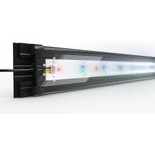 led verlichting aquarium