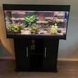 1 meter aquarium