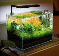 led verlichting aquarium hornbach