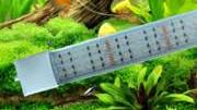 goedkope aquarium led verlichting