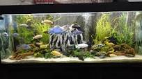 waterdichte led strip aquarium