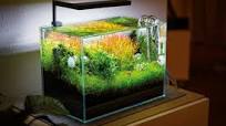 losse aquarium verlichting