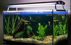 welke aquarium verlichting