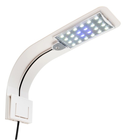 blauw led licht aquarium