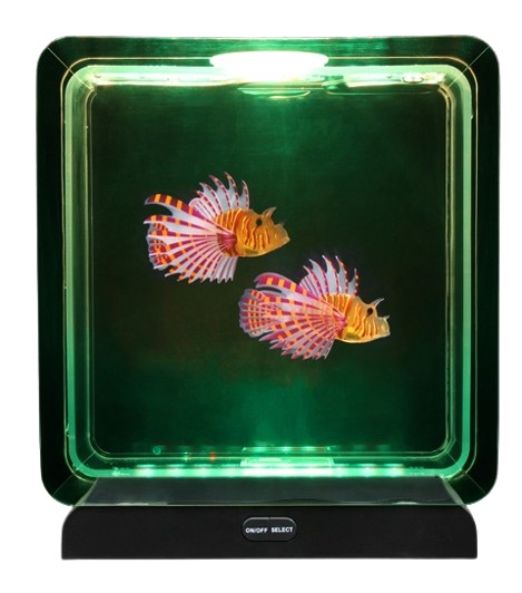 zoetwater vissen aquarium vissen