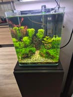 verlichting nano aquarium