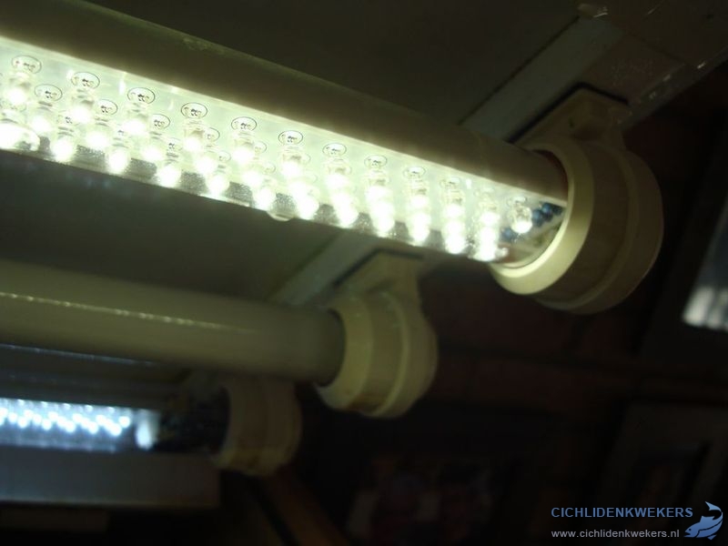 welke tl verlichting aquarium
